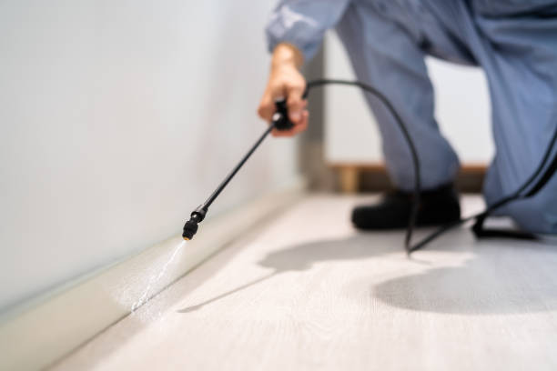 Licensed Mosquito Control service in Genesee, CO - Show Me Pest Control
