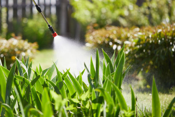 24/7 Emergency Mosquito Control experts in Genesee, CO