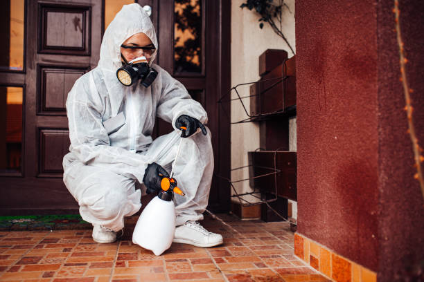 Reliable Mosquito Control contractor in Genesee, CO by Show Me Pest Control